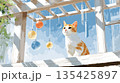 窓辺で風鈴と共に空を眺める猫のイラスト 135425897