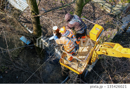 Municipal service workers stand with a chainsaw in a crane basket and trim dangerous trees Municipal service workers stand with a chainsaw in a crane basket and trim dangerous trees 135426021