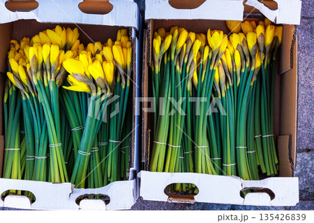 Top view of two cardboard crates filled with fresh yellow daffodils with long green stems on stone pavement. Bundled narcissus in paper boxes at flower market Top view of two cardboard crates filled with fresh yellow daffodils with long green stems on stone pavement. Bundled narcissus in paper boxes at flower market 135426839
