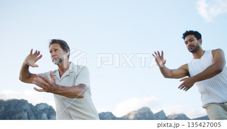 Men, tai chi and martial art with mentor for spiritual healing, zen or wellness in nature. Male people, coaching or reiki with practice in motion or movement for channeling body energy or balance 135427005