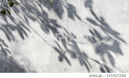 植物の影が映るコンクリート壁 135427288