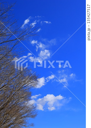 青い空と白い雲 青い空と白い雲 135427517