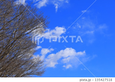 青い空と白い雲 青い空と白い雲 135427518