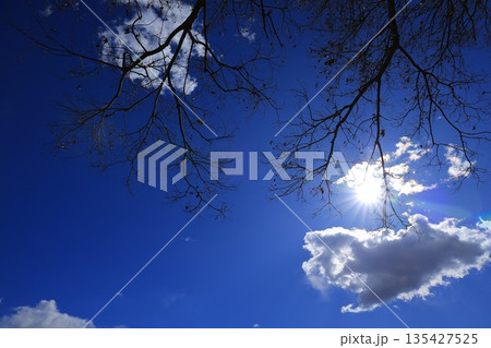 青い空と白い雲 青い空と白い雲 135427525