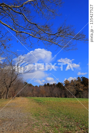 青い空と白い雲 135427527