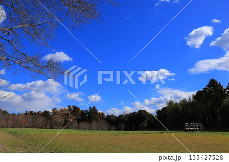 青い空と白い雲 青い空と白い雲 135427528