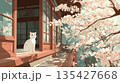 窓辺で花見をする白い猫のイラスト 135427668