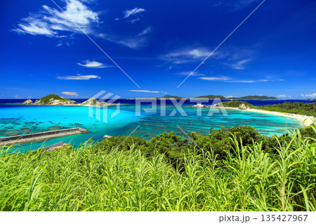 夏の沖縄 渡嘉敷島の風景 阿波連ビーチ 夏の沖縄 渡嘉敷島の風景 阿波連ビーチ 135427967
