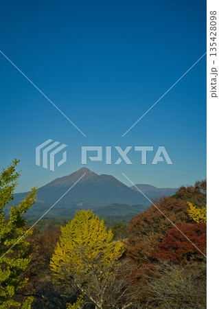 都城市山田町 一堂ヶ丘公園 R7年秋 都城市山田町 一堂ヶ丘公園 R7年秋 135428098