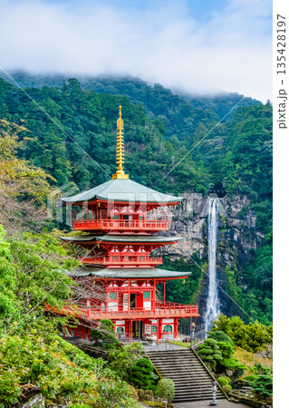 熊野 青岸渡寺三重塔と那智の滝 135428197
