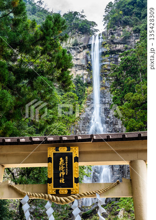熊野 飛瀧神社の鳥居と那智の滝 135428309