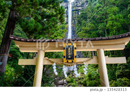 熊野 飛瀧神社の鳥居と那智の滝 熊野 飛瀧神社の鳥居と那智の滝 135428313