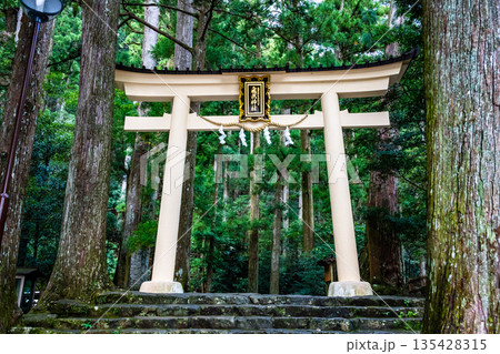 熊野 飛瀧神社の鳥居 135428315