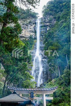 熊野 飛瀧神社の鳥居と那智の滝 135428316