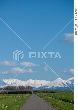 春の雪山に続く草原の道 春の雪山に続く草原の道 135428360