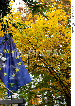 European flag waving gently amidst vibrant autumn leaves in a city park 135428543