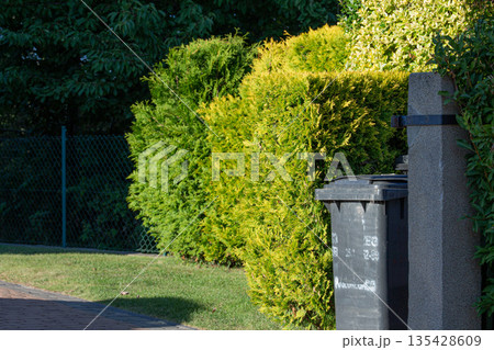 Landscaped garden pathway featuring green bushes and a trash bin on a sunny afternoon Landscaped garden pathway featuring green bushes and a trash bin on a sunny afternoon 135428609