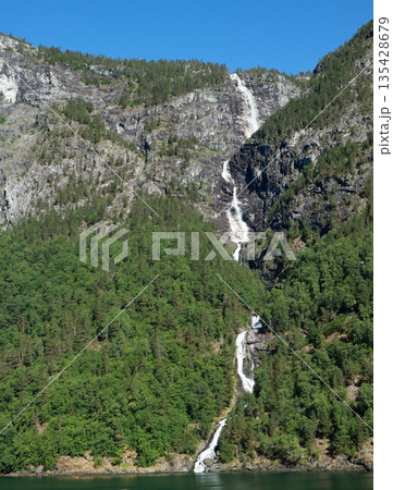ノルウェーのネーロイフィヨルドの渓谷の滝 ノルウェーのネーロイフィヨルドの渓谷の滝 135428679