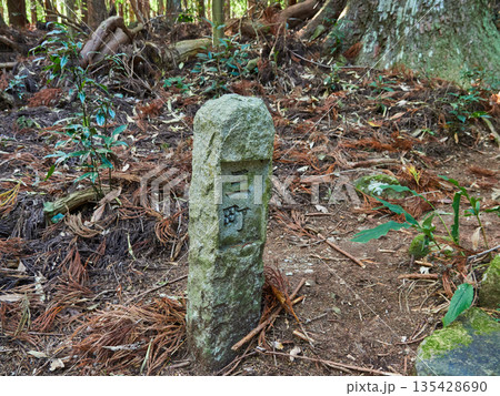 和歌山県の観光名所熊野古道の古い登山道の道標の石碑の風景 135428690