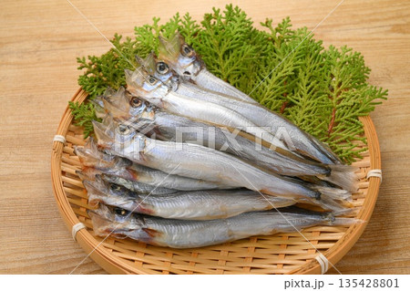 注）未加熱・未調理です。ししゃも、シシャモ、魚、食材。 135428801