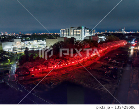 空撮「埼玉県」見沼田んぼの桜回廊ライトアップをドローンで撮影 135429006