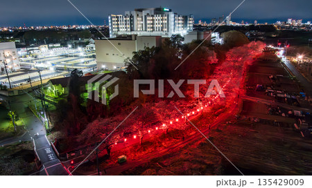 空撮「埼玉県」見沼田んぼの桜回廊ライトアップをドローンで撮影 135429009