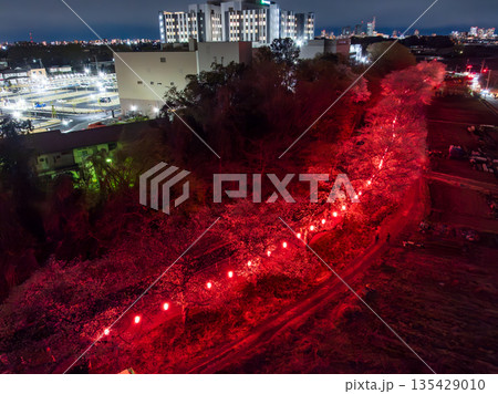 空撮「埼玉県」見沼田んぼの桜回廊ライトアップをドローンで撮影 135429010