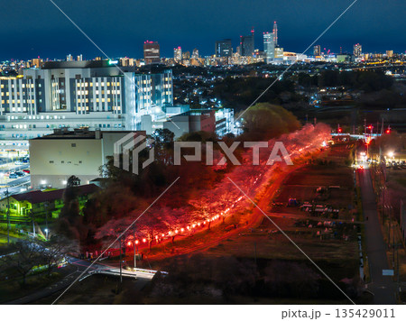 空撮「埼玉県」見沼田んぼの桜回廊ライトアップをドローンで撮影 空撮「埼玉県」見沼田んぼの桜回廊ライトアップをドローンで撮影 135429011