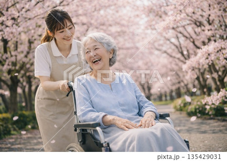 柔らかな春の日差しの中、満開の桜並木をゆっくりと介護士と患者さんがお散歩 135429031