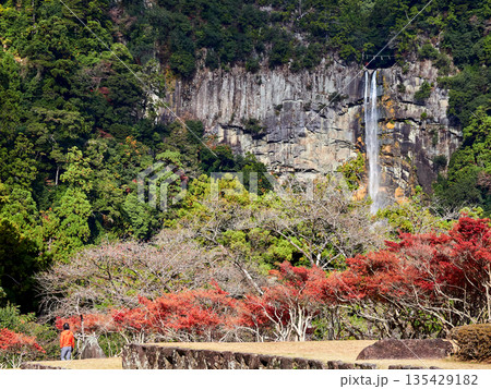 秋の和歌山県の観光名所那智勝浦の那智の滝の風景 秋の和歌山県の観光名所那智勝浦の那智の滝の風景 135429182