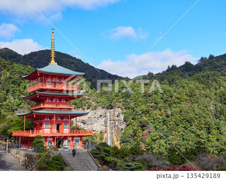 秋の和歌山県の観光名所那智勝浦の那智山青岸渡寺三重塔と那智の滝の風景を楽しむ観光客の姿 135429189