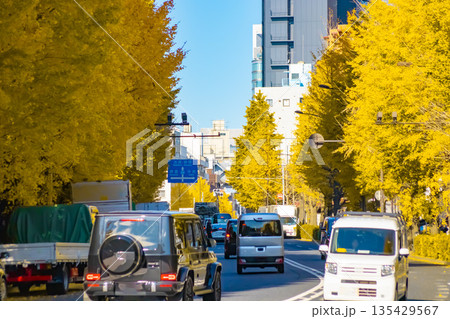 黄色に色づいたイチョウ並木の明治通りの交通【秋イメージ】 黄色に色づいたイチョウ並木の明治通りの交通【秋イメージ】 135429567