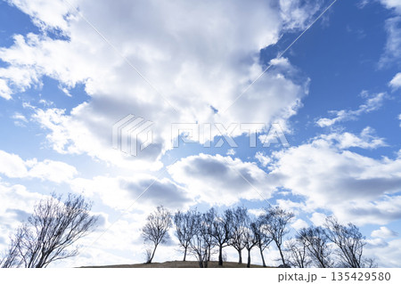冬空と雲と木立 135429580