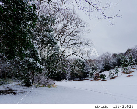 愛知県森林公園の雪景色 135429623