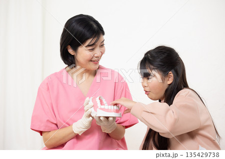模型を使って子供の患者に歯磨き指導をする歯科衛生士 模型を使って子供の患者に歯磨き指導をする歯科衛生士 135429738