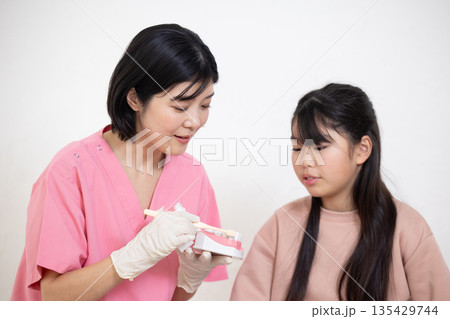 模型を使って子供の患者に歯磨き指導をする歯科衛生士 模型を使って子供の患者に歯磨き指導をする歯科衛生士 135429744