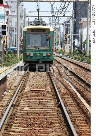 都電荒川線 都電荒川線 135429777