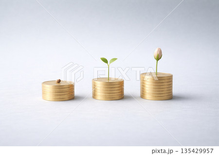 資産形成や学習プロセスを象徴する成長イメージ 資産形成や学習プロセスを象徴する成長イメージ 135429957