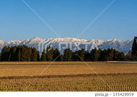 冬の富山市市街地から立山連峰 135429959