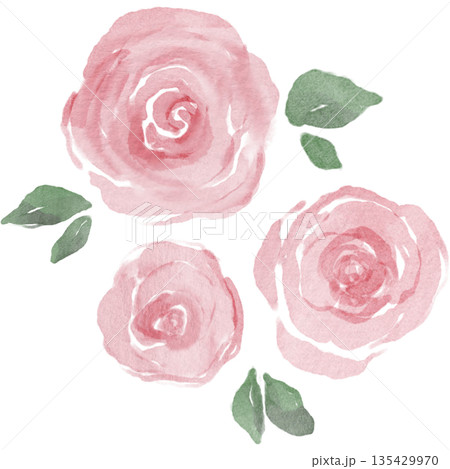 水彩風ピンクのバラのイラスト｜やさしく上品な花のデザイン 135429970