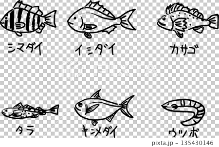 可愛的手繪塗鴉插圖，描繪了條紋鯛魚、石頭魚、岩魚、鱈魚、金紅鯛魚和海鰻。 135430146