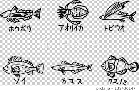ホウボウ・アオリイカ・トビウオ・ソイ・カマス・クマノミの可愛い線画イラスト素材 135430147