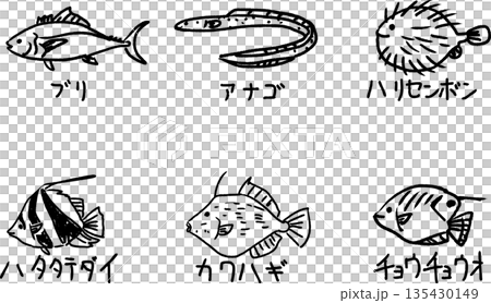 Cute yellowtail, conger eel, porcupine fish, sanderfish, filefish, and butterflyfish line drawing illustrations Cute yellowtail, conger eel, porcupine fish, sanderfish, filefish, and butterflyfish line drawing illustrations 135430149