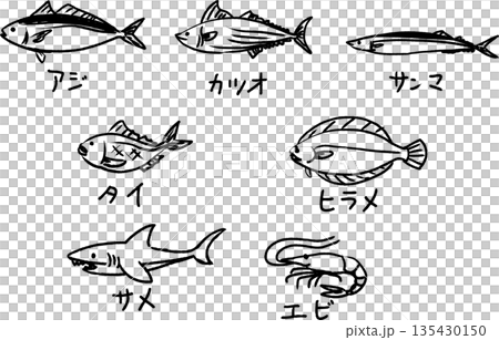 Cute horse mackerel, bonito, saury, sea bream, flounder, shark, shrimp doodles, hand-drawn line drawing illustrations of fish 135430150