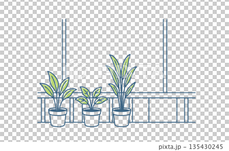 窓際に並んだ観葉植物のイラスト（インテリア・ライフスタイル・緑のある暮らし） 135430245