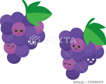 ぶどう 135430375