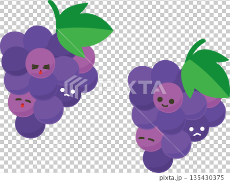 ぶどう 135430375