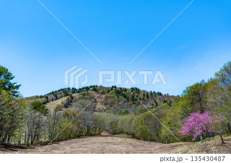初夏のゲレンデと恐羅漢山 広島県山県郡安芸太田町 初夏のゲレンデと恐羅漢山 広島県山県郡安芸太田町 135430487