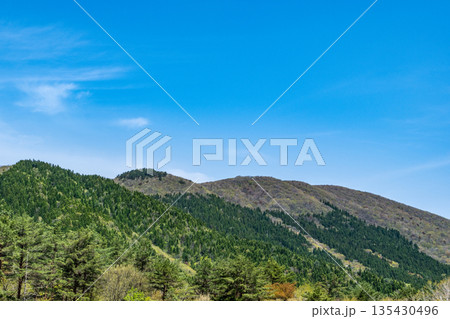 初夏の恐羅漢山　恐羅漢スノーパークから見た周辺の山々　広島県山県郡安芸太田町 135430496