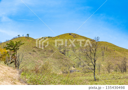 初夏の深入山の南麓の風景2 広島県山県郡安芸太田町 初夏の深入山の南麓の風景2 広島県山県郡安芸太田町 135430498